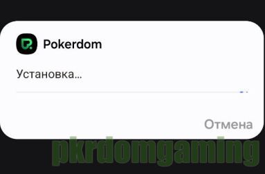 Установка Pokerdom