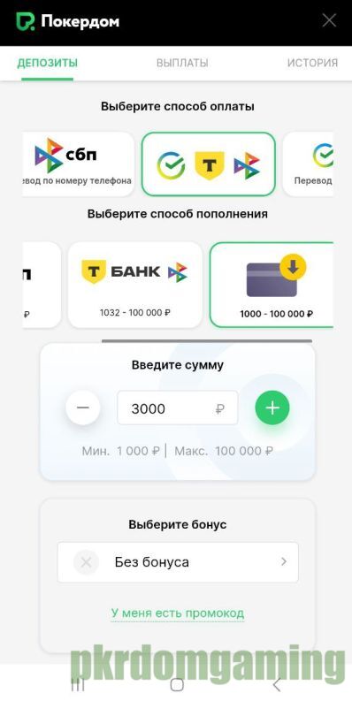 Форма ввода средств Pokerdom