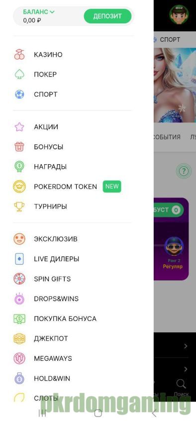 Личный кабинет Pokerdom