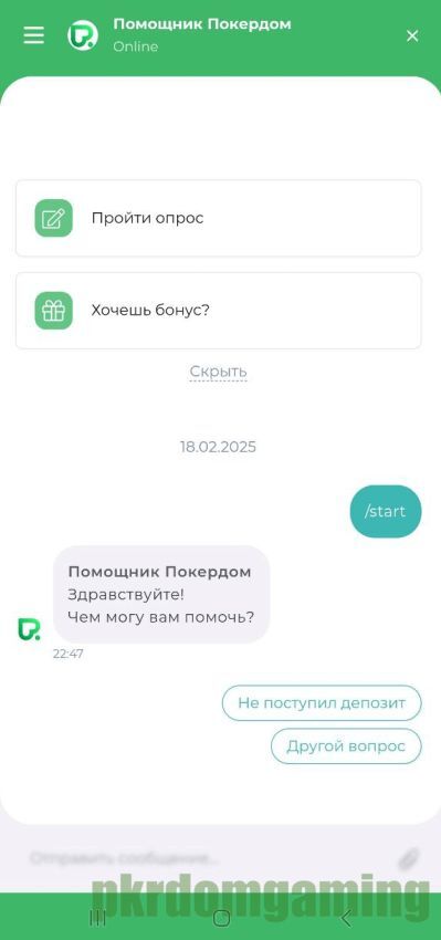 Саппорт Pokerdom